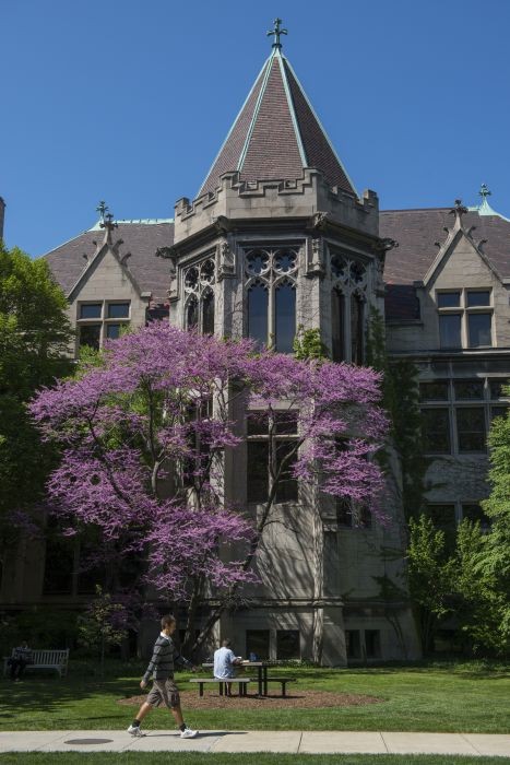 Students sitting on the quads